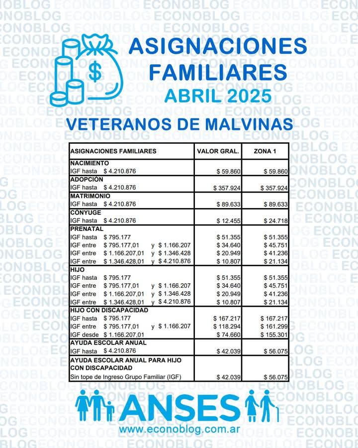 ANSES Ayudas Sociales Argentinas
