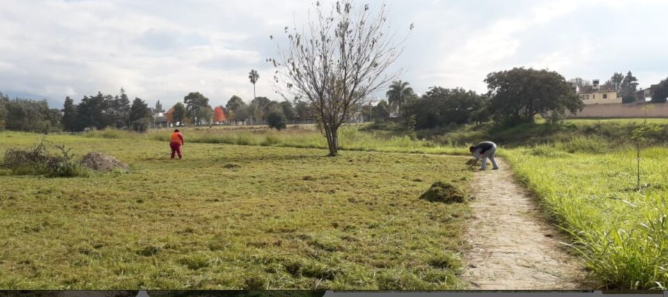 San Gustavo se renueva: la municipalidad intensifica tareas de limpieza tras el cese de las lluvias