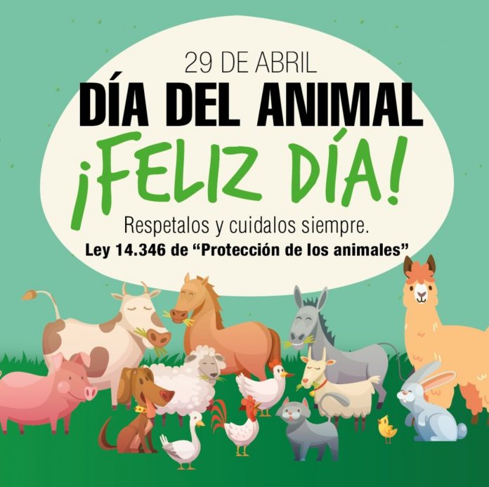 Día del Animal: Un Llamado a la Reflexión Sobre la Fidelidad y la Nobleza Que No Merecen el Abandono