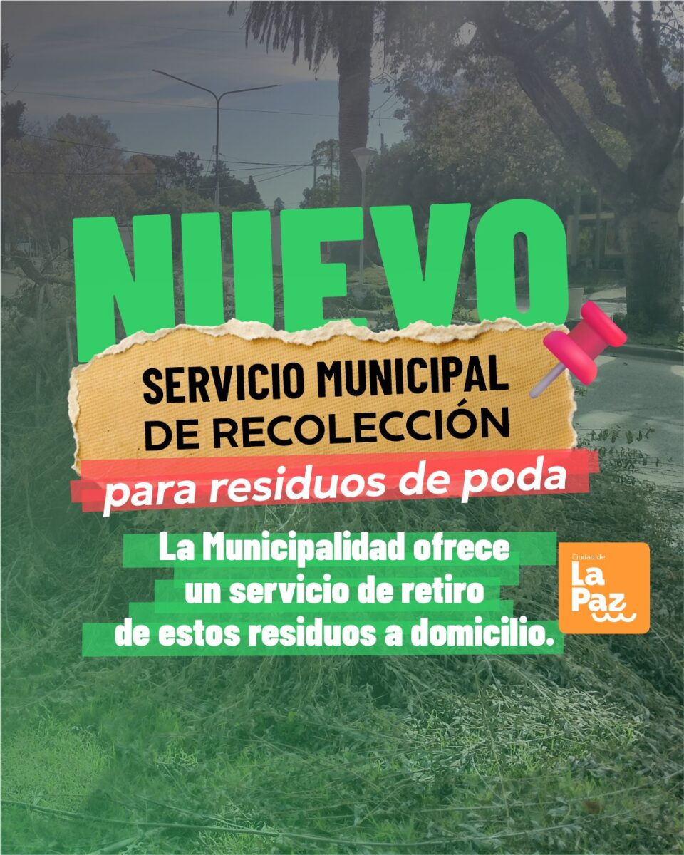 Nuevo servicio de recolección de poda: cómo solicitarlo y qué tener en cuenta