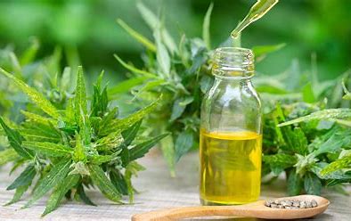 La ANMAT prohibió la venta de una serie de aceites de cannabis y de oliva
