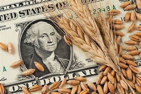 El laberinto económico argentino: furia libertaria, FMI y el dilema del dólar