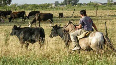 Peones Rurales: Incrementos Salariales Confirmados para Mayo 2025