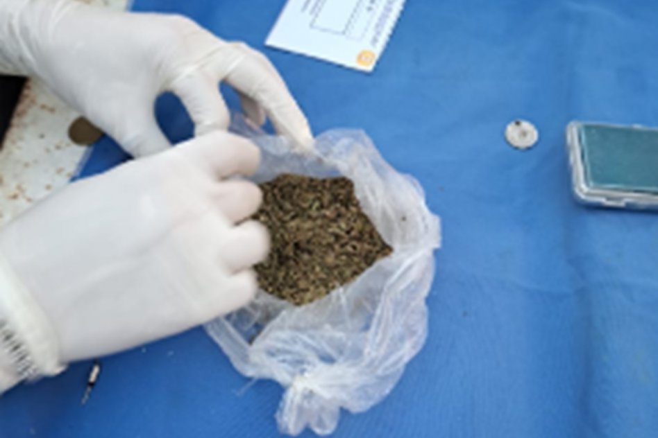  «Golpe al narcomenudeo: detención y secuestro de drogas en San Salvador»