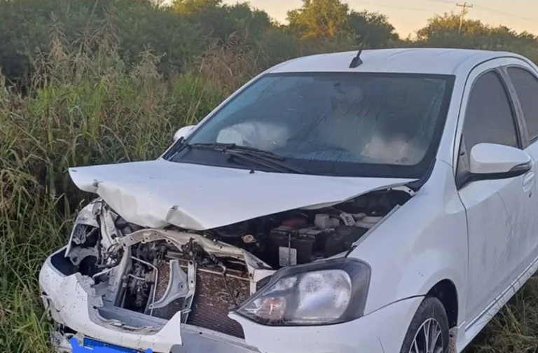 Impactante accidente en Ruta 12: un ciervo axis provoca colisión y lesiones