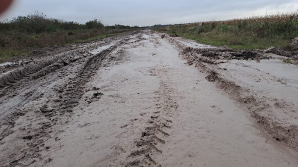 Caminos de Entre Ríos: Un Desafío para la Producción y la Conectividad