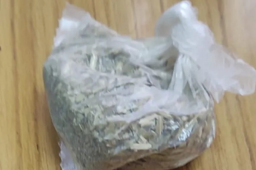 Niña de 10 años llevó una bolsa con marihuana a la escuela