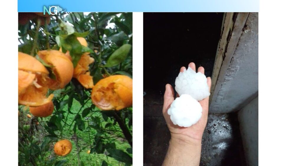 Dirigentes de la FAA recorrieron quintas severamente afectadas por la última granizada