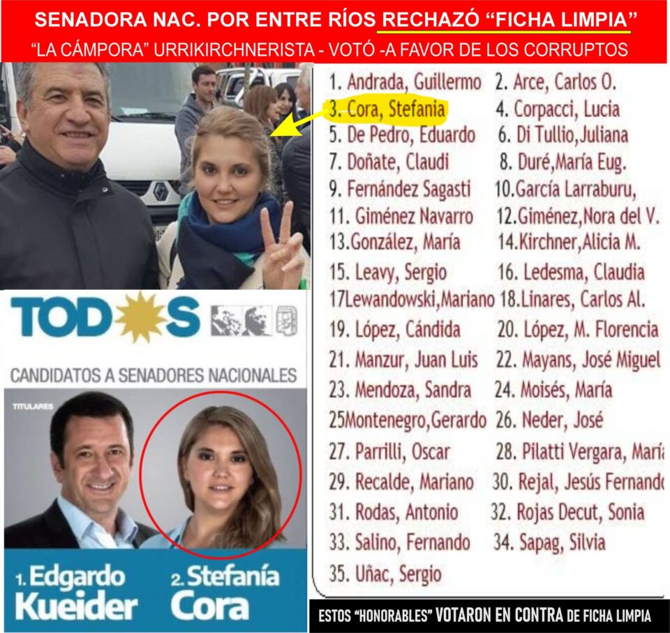 Debate sobre Ficha Limpia: controversia en el Senado