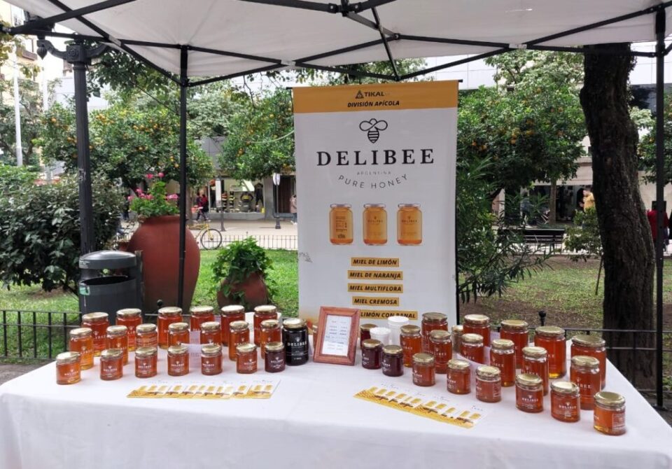 Paraná celebra la Semana de la Miel con actividades educativas y una feria apícola