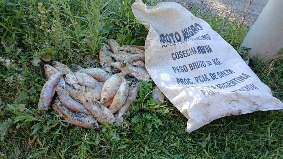 Vecinos del barrio Presidente Perón reclaman medidas ante un foco de contaminación