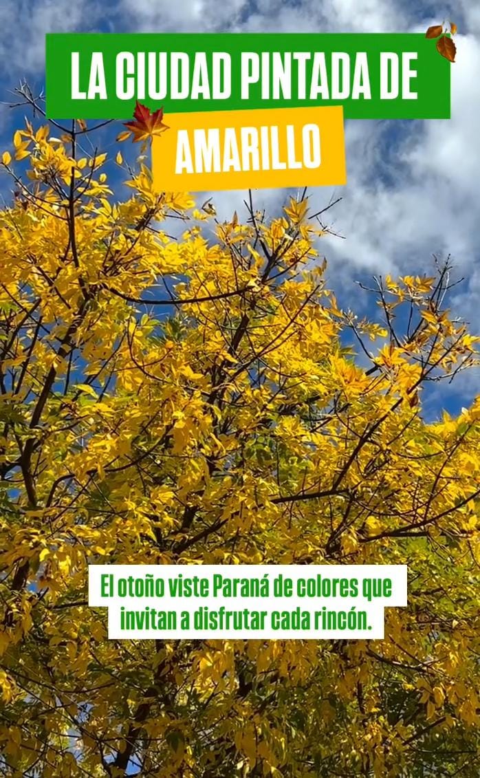  Paraná se viste de otoño: colores, rincones y experiencias para disfrutar