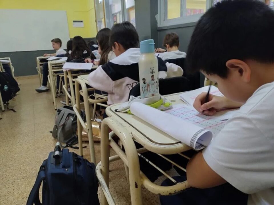 «Pruebas Aprender: menos de la mitad de los alumnos de tercer grado alcanza el nivel esperado en lectura»
