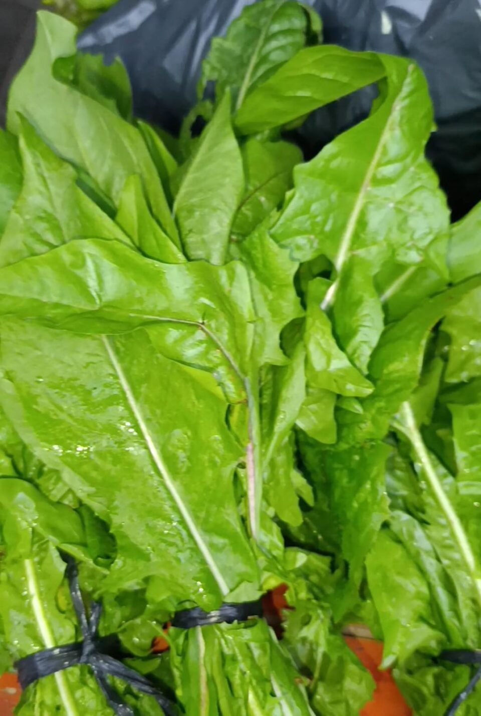 Viernes con sabor local: el Mercado Popular te espera en San Gustavo