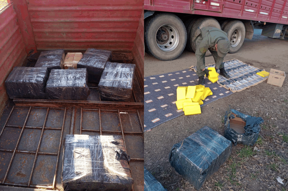 Salta y Chaco: Golpe al narcotráfico con la incautación de 172 kilos de cocaína