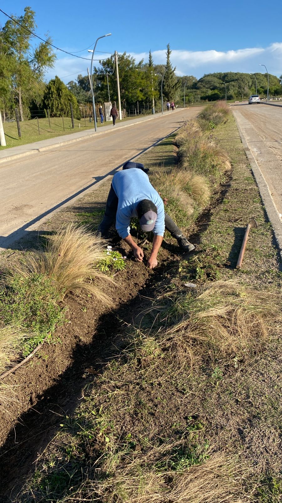 EL PASEO ALFONSÍN ES DE TODOS