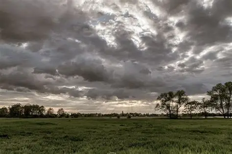 Hoy, viernes 25 de julio, el pronóstico meteorológico para el departamento La Paz, Entre Ríos indica lo siguiente: