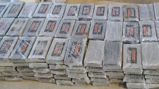 Droga embarcada en Zárate: hallaron 222 kilos de cocaína en Bélgica y allanan terminal portuaria argentina