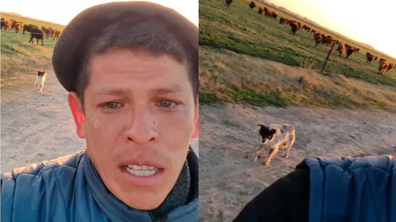 Once años de trabajo, un bolso y un perro: el video que expuso la precariedad rural en San Vicente