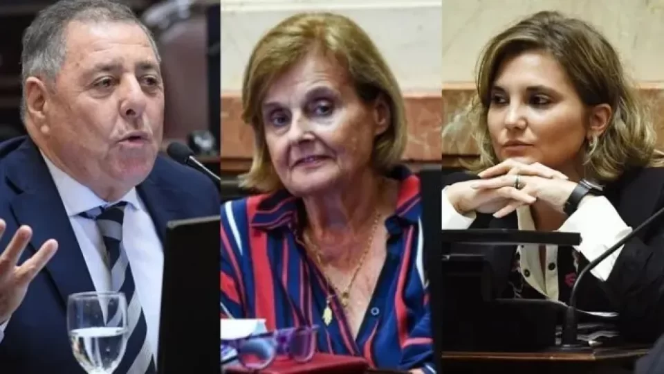Senadores entrerrianos: Cora votó a favor, De Angeli y Olalla se ausentaron en sesión clave