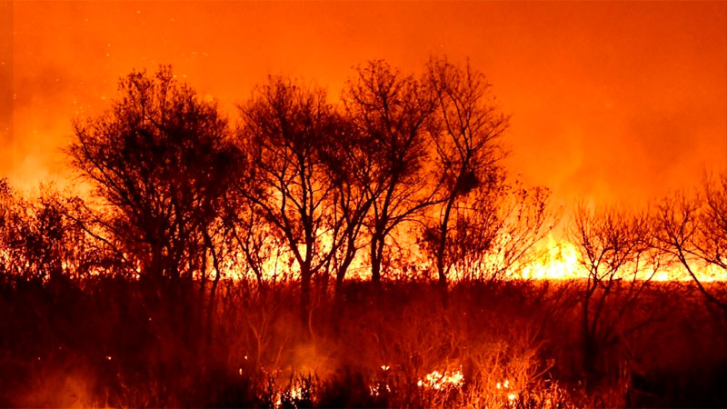 Histórica condena a tres apicultores por incendio masivo en las islas de Victoria: penas de prisión efectiva por estrago doloso