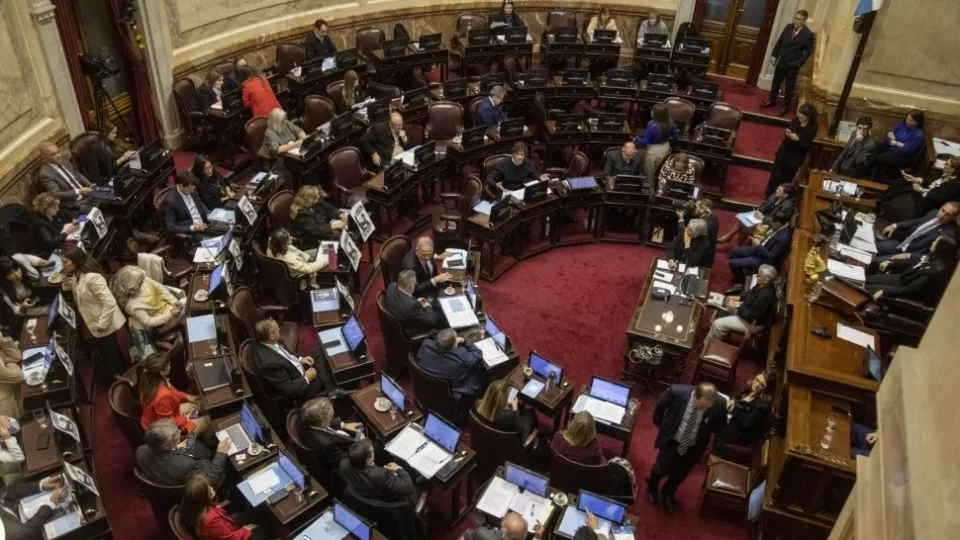 Emergencia en discapacidad: el Senado aprobó la ley por unanimidad