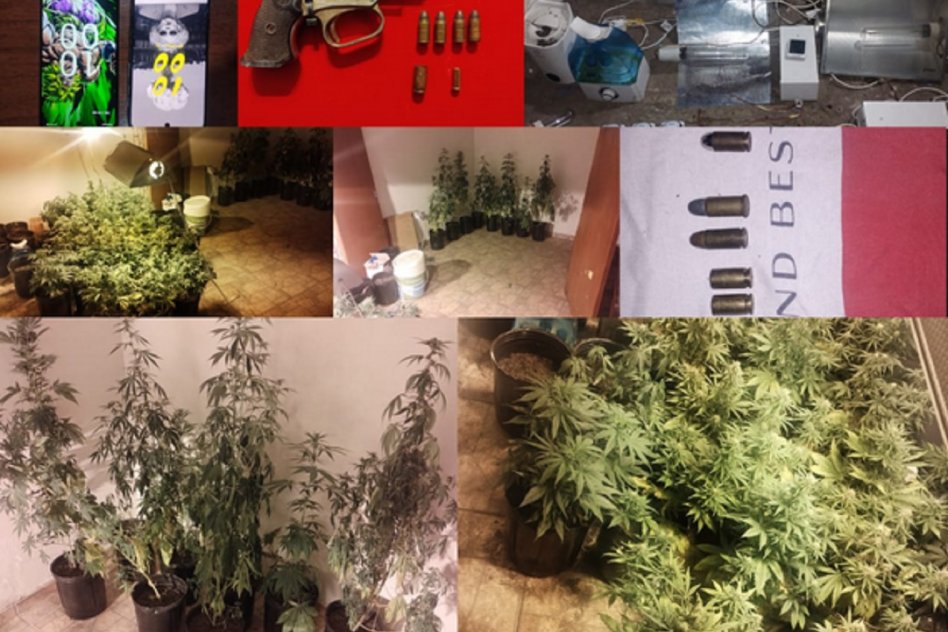 Allanamientos en calle J. López y Selva de Montiel: secuestro de armas, drogas y plantas de cannabis