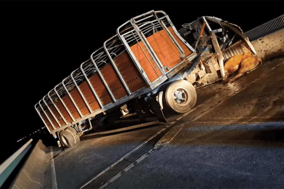 Grave choque en el puente Victoria–Rosario: tres heridos y una adolescente embestida por un toro