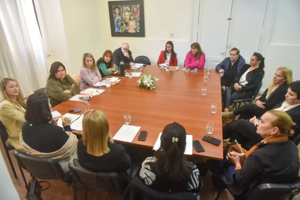 Discapacidad en emergencia: reclaman que la Legislatura trate el proyecto que busca garantizar derechos hasta 2027