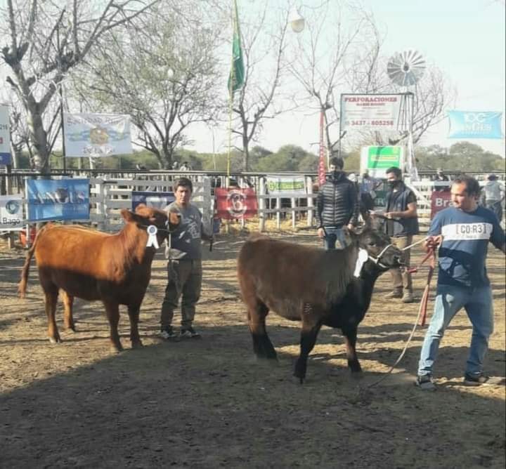Tradición y desarrollo: La Paz celebra su potencia productiva