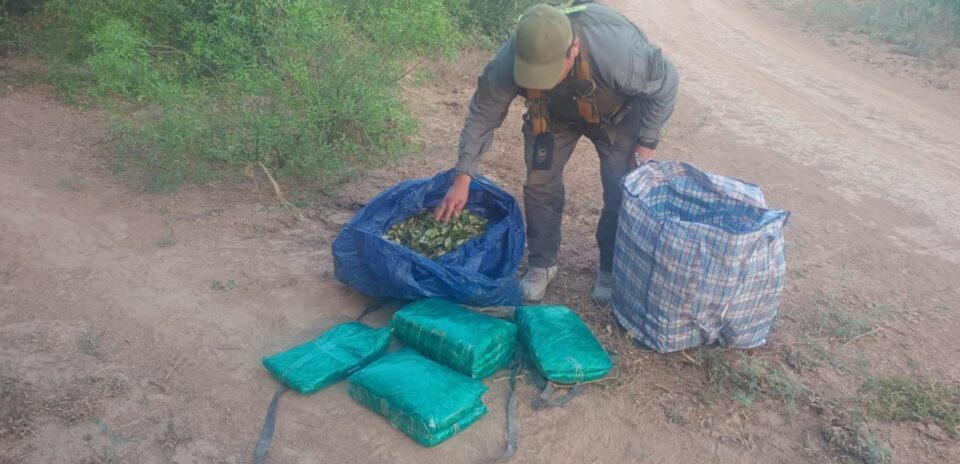 Formosa: Gendarmería incauta 50 kilos de hojas de coca en caminos secundarios