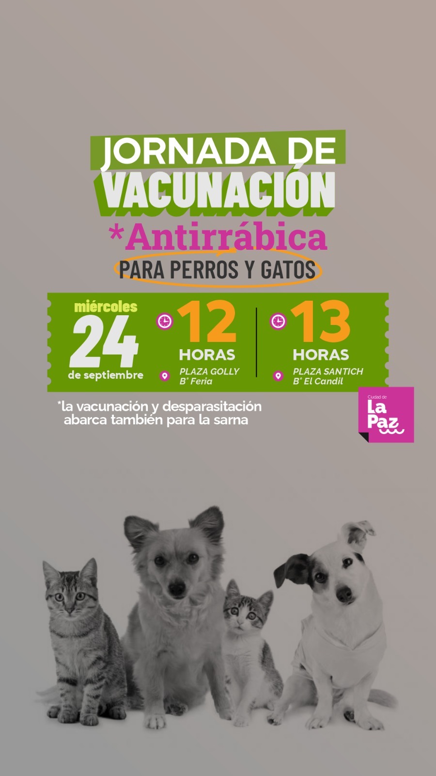 JORNADA DE VACUNACIÓN Y DESPARASITACIÓN PARA PERROS Y GATOS