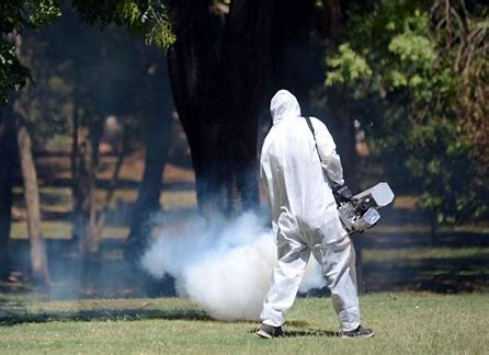 Fumigar para prevenir: una responsabilidad compartida