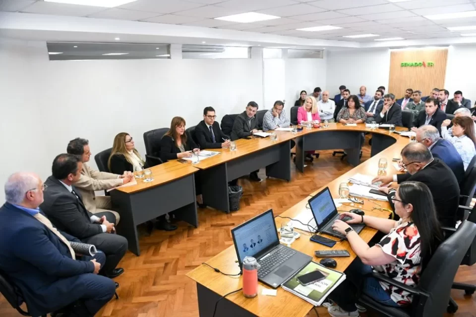 Juicio por jurados: senadores analizan aportes y críticas al proyecto de reforma