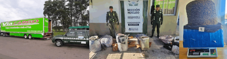 Desbaratan red narco entre Misiones y Buenos Aires: más de 57 kilos de marihuana enviados por encomienda