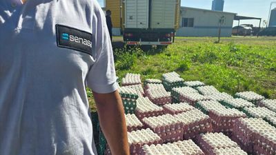Decomisaron 36 mil huevos sin documentación sanitaria en Entre Ríos