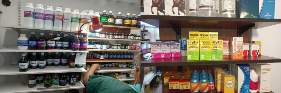 La Policía de Entre Ríos secuestró medicamentos veterinarios por un valor estimado de 40 millones de pesos en un operativo realizado en La Paz. Los productos no contaban con habilitación ni homologación del SENASA.