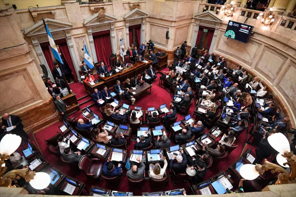 El Senado debate los vetos de Milei al financiamiento del Garrahan y universidades
