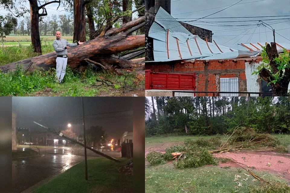 Temporal en Concepción del Uruguay: voladuras de techos, árboles caídos y cortes de energía