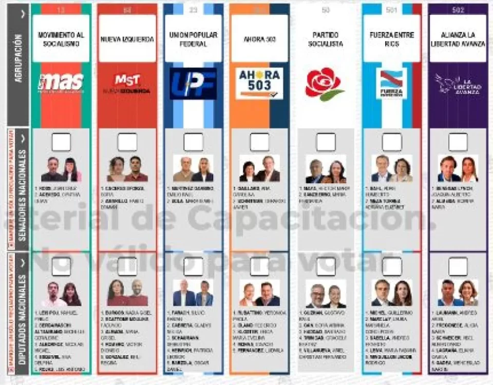 En Entre Ríos, la implementación de la Boleta Única de Papel evidenció una diferencia significativa en el voto en blanco entre las categorías de Diputados (9,9%) y Senadores (3,36%), según un informe de CIPPEC.