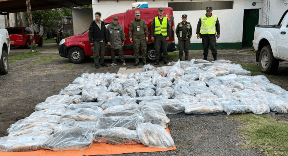 Corrientes: Decomisan 950 kilos de pescado transportados sin habilitación
