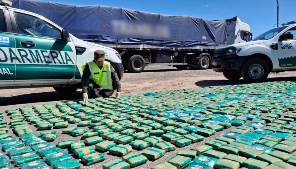 En San Juan interceptaron un camión que trasladaba más de 300 kilos de hojas de coca