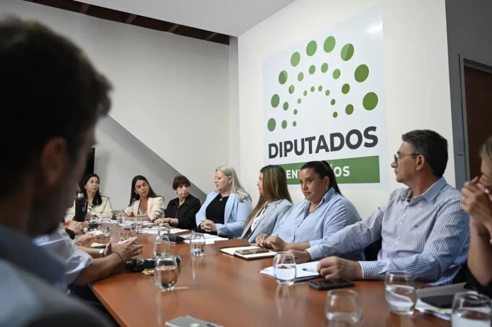 “Avanza en Diputados un protocolo contra la violencia laboral y de género”
