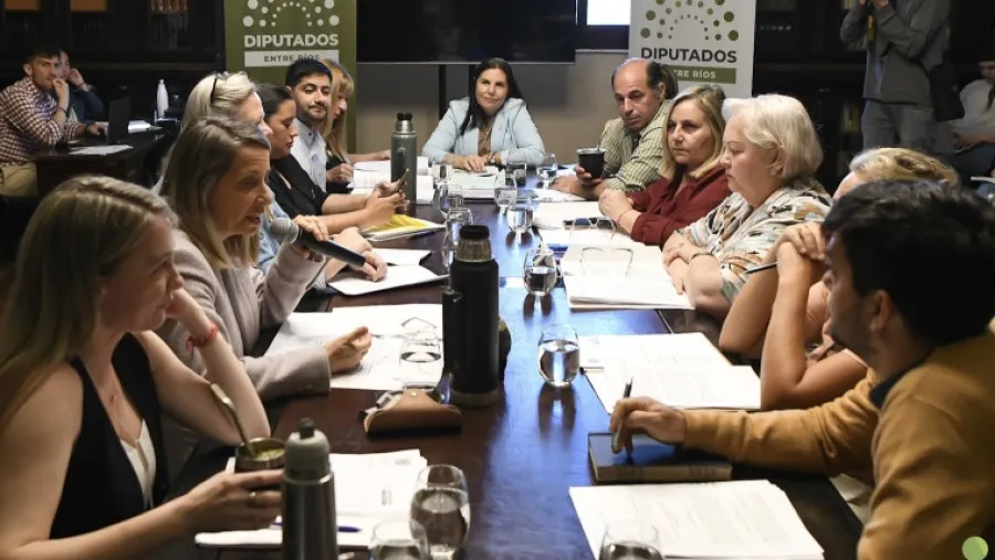 Juicio político a Susana Medina: cómo es el trámite en la Legislatura y quiénes deciden