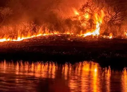 La Corte condenó a Buenos Aires, Entre Ríos y Santa Fe por los incendios en zona de Islas de Victoria y Rosario