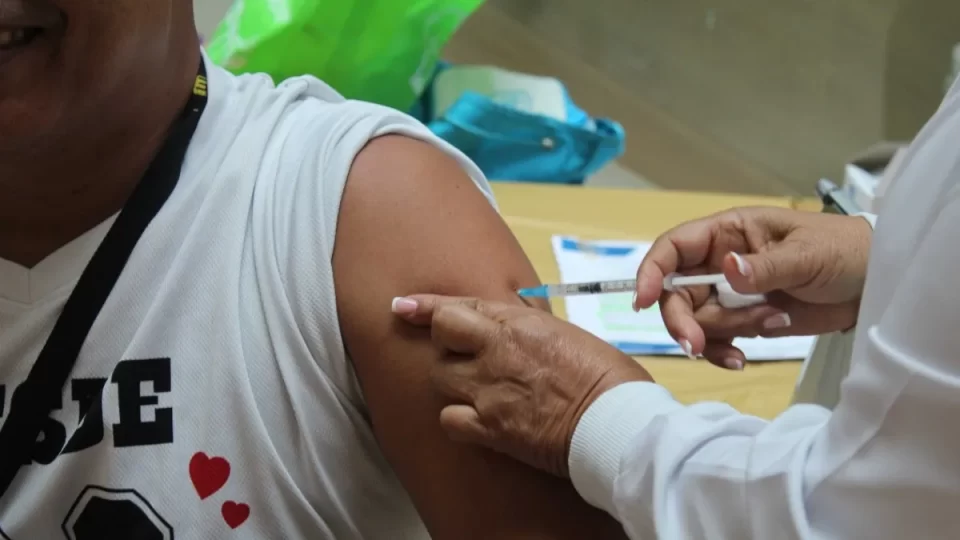 La vacuna contra la fiebre amarilla es obligatoria para quienes viajen a zonas endémicas de América Latina y altamente recomendada para viajeros internacionales. La OPS subraya que la inmunización es la principal medida de prevención ante el aumento de casos y muertes en 2025.