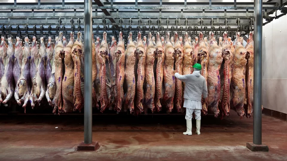Cayó la faena, subieron los costos y los frigoríficos se preparan para cerrar