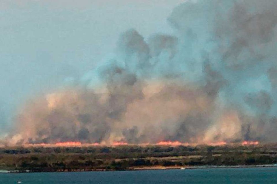 El fallo de la Corte Suprema que condena a Nación, provincias y municipios por las quemas en el Delta del Paraná y ordena implementar un plan de conservación, como símbolo de la deuda ambiental histórica y la urgencia de políticas coordinadas para proteger uno de los ecosistemas más valiosos del país