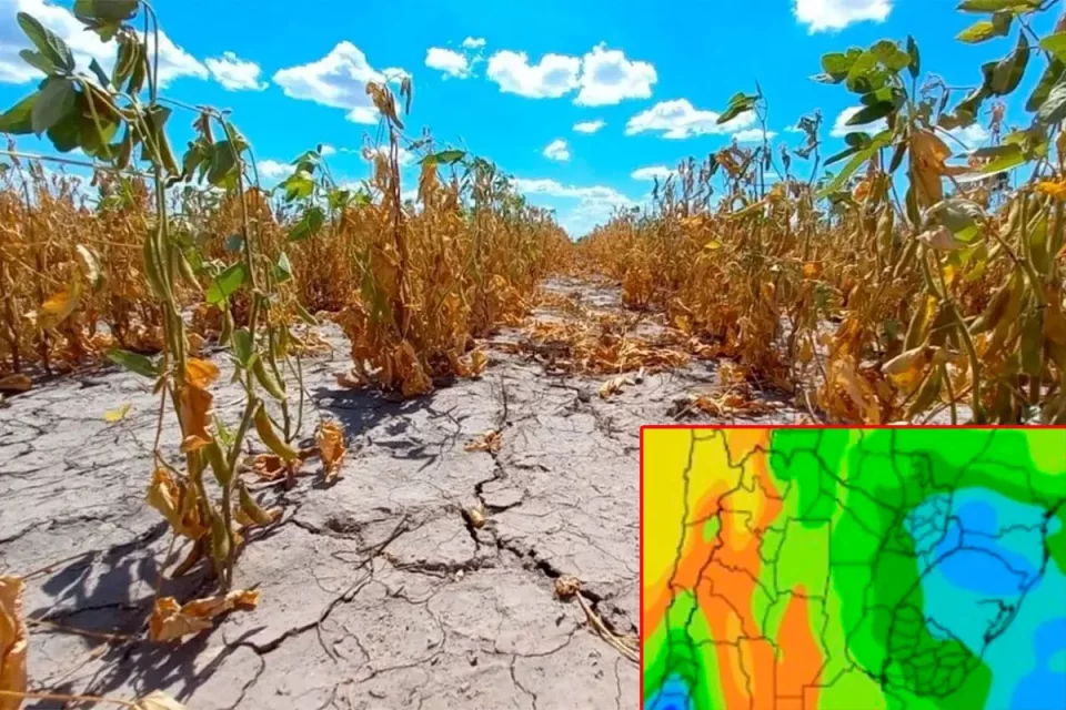 El verano 2025/26 se perfila con una “Niña débil” y alertas climáticas Este pronóstico implica que la agricultura en gran parte de la región deberá estar atenta a las alertas climáticas, que podrían derivar en situaciones de estrés por sequías y excesos hídricos, así como heladas tempranas que pondrían en peligro los cultivos al final de la temporada de verano.