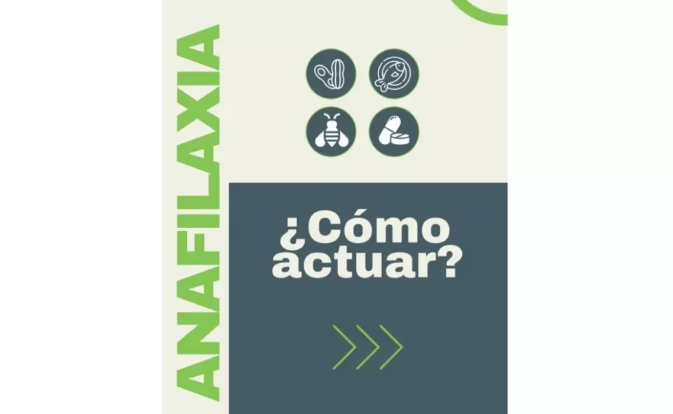 Salud difundió recomendaciones para actuar ante un shock anafiláctico